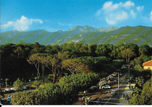 FIUMETTO - PINETA E ALPI APUANE - V1978