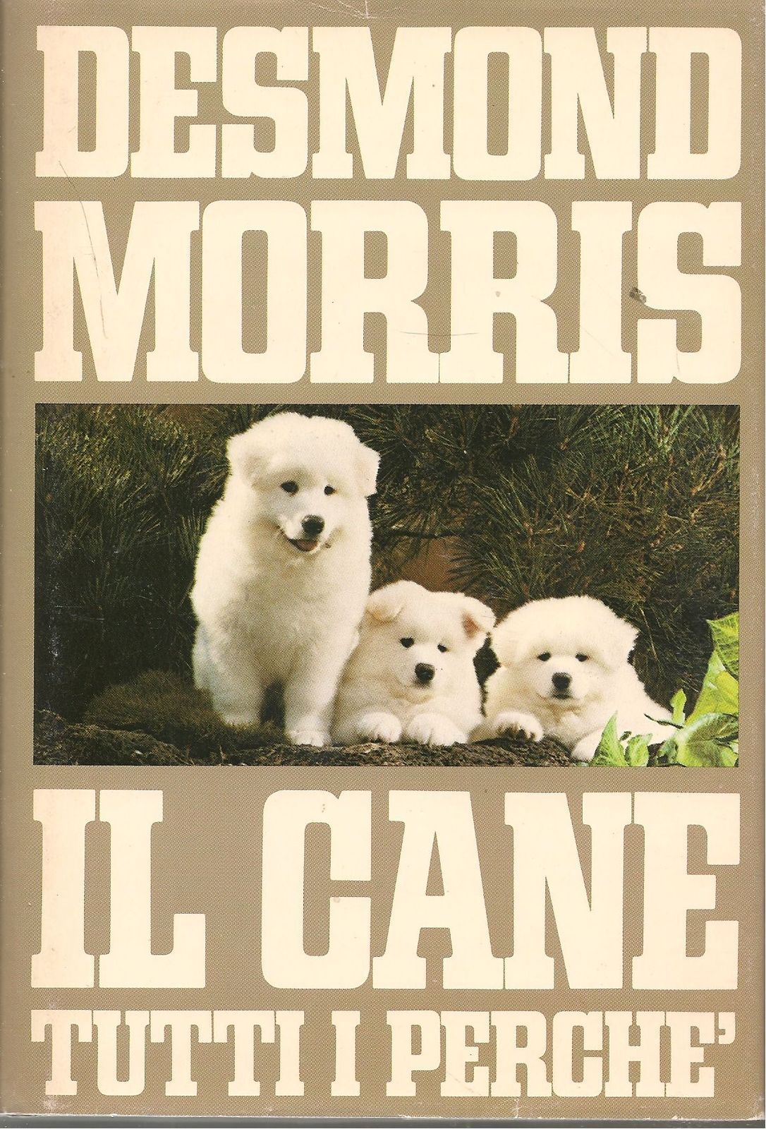 IL CANE TUTTI I PERCHE' - DESMOND MORRIS