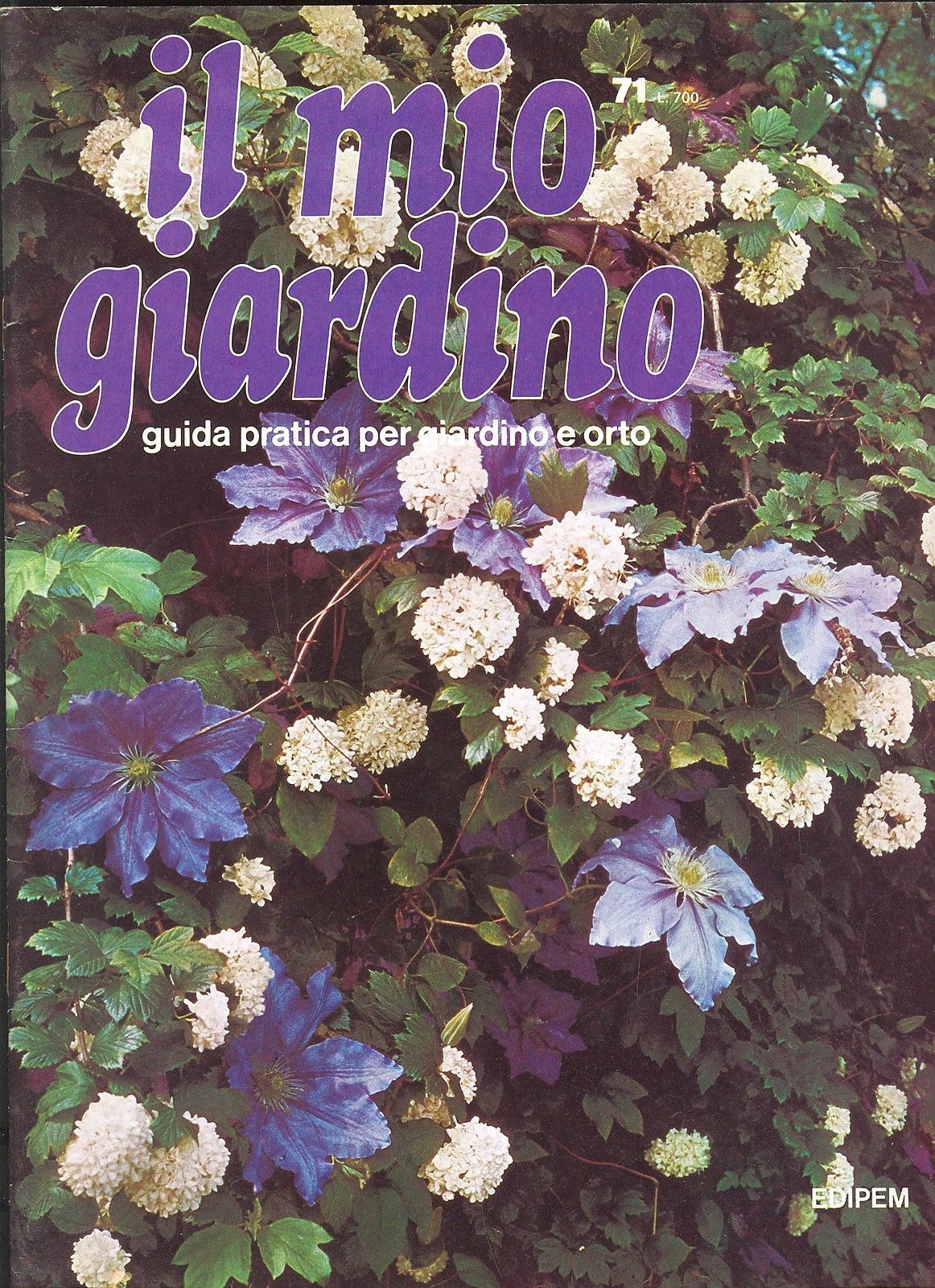 IL MIO GIARDINO N 71