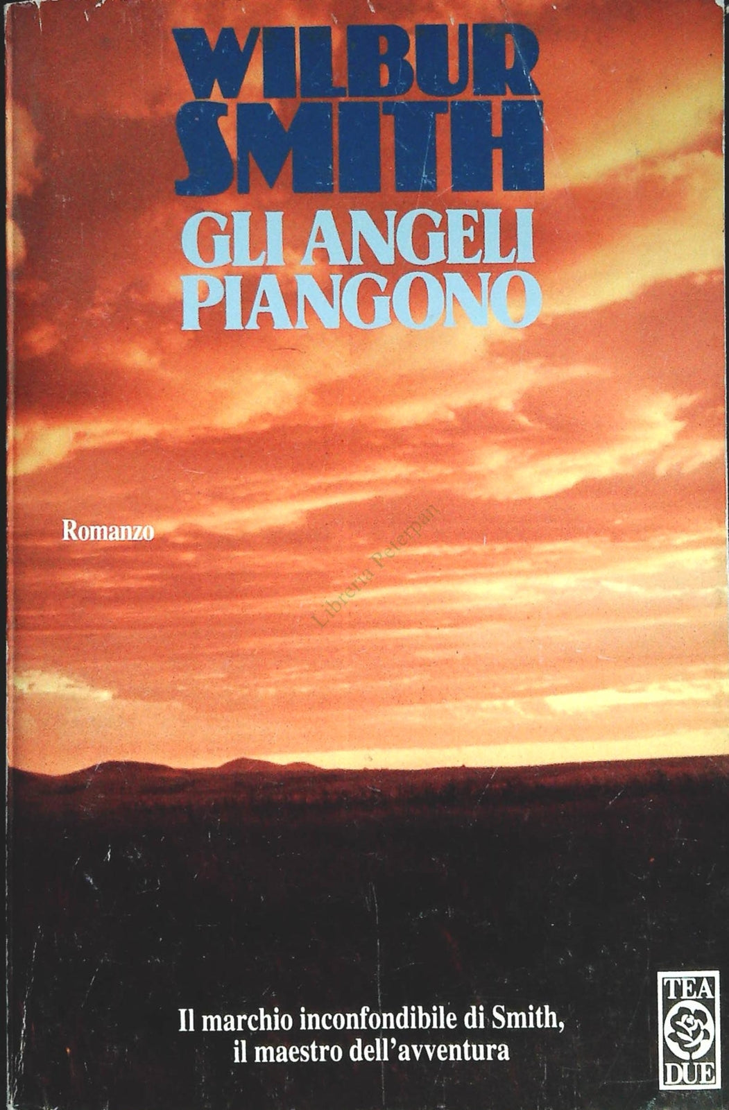 GLI ANGELI PIANGONO - WILBUR SMITH - TEA DUE 1994 - OUTLET DEL LIBRO