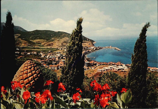MARCIANA MARINA - PANORAMA DA VILLA  SPINOLA - V1968