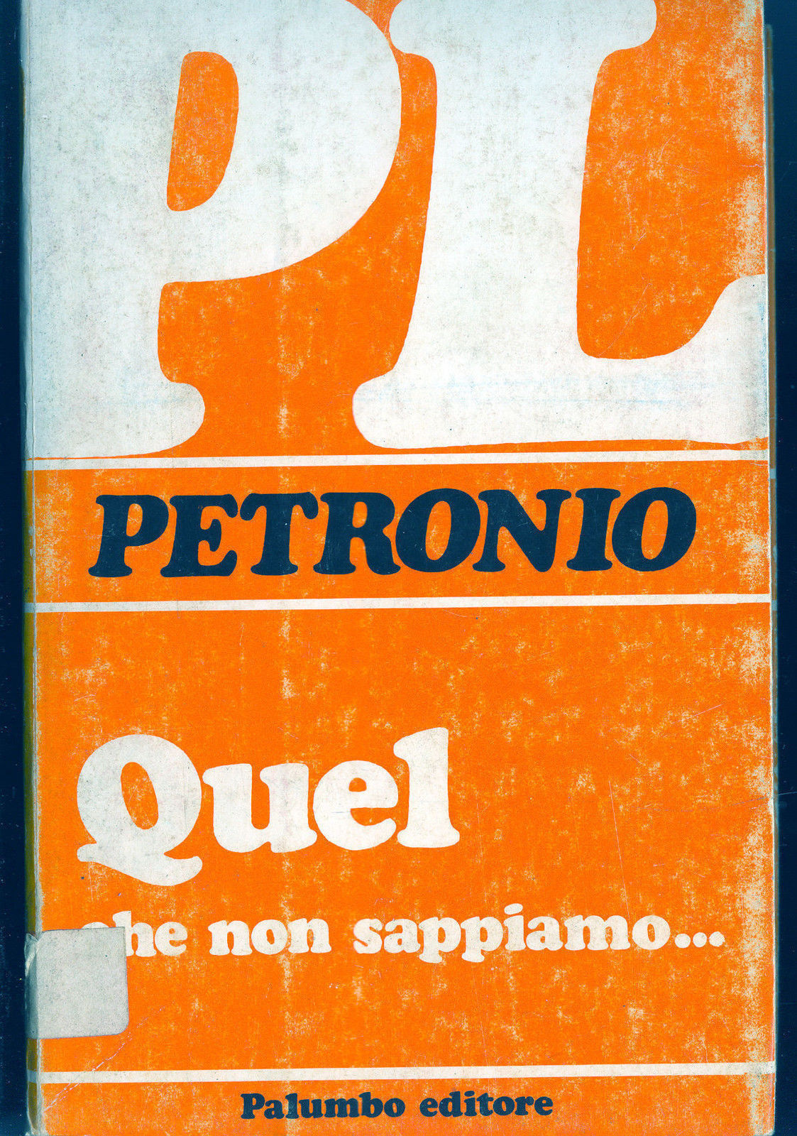 QUEL CHE NON SAPPIAMO ... -  AA.VV. - a cura di Giuseppe Petronio
