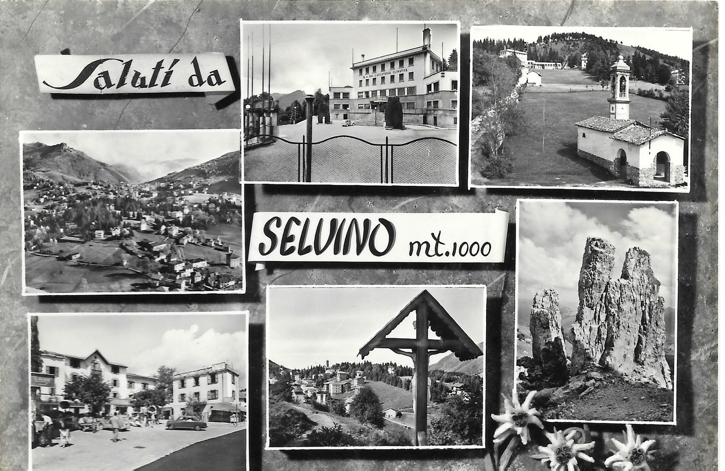 SALUTI DA SELVINO - 6 VEDUTE - V1957