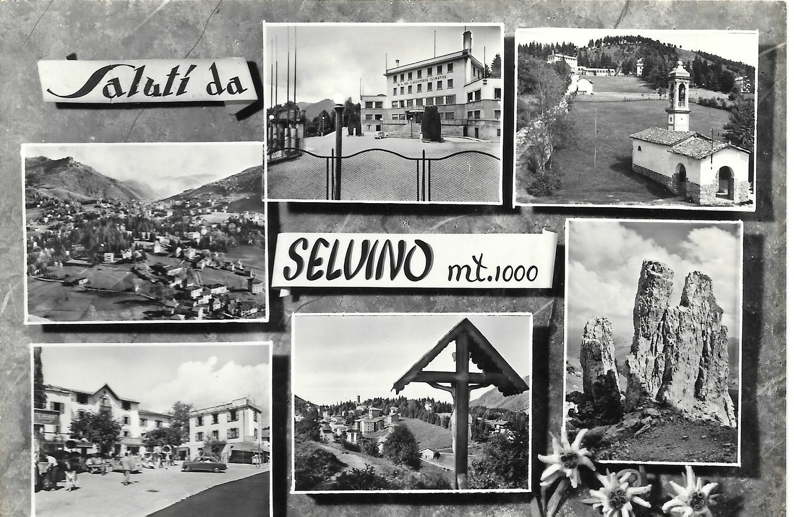 SALUTI DA SELVINO - 6 VEDUTE - V1957