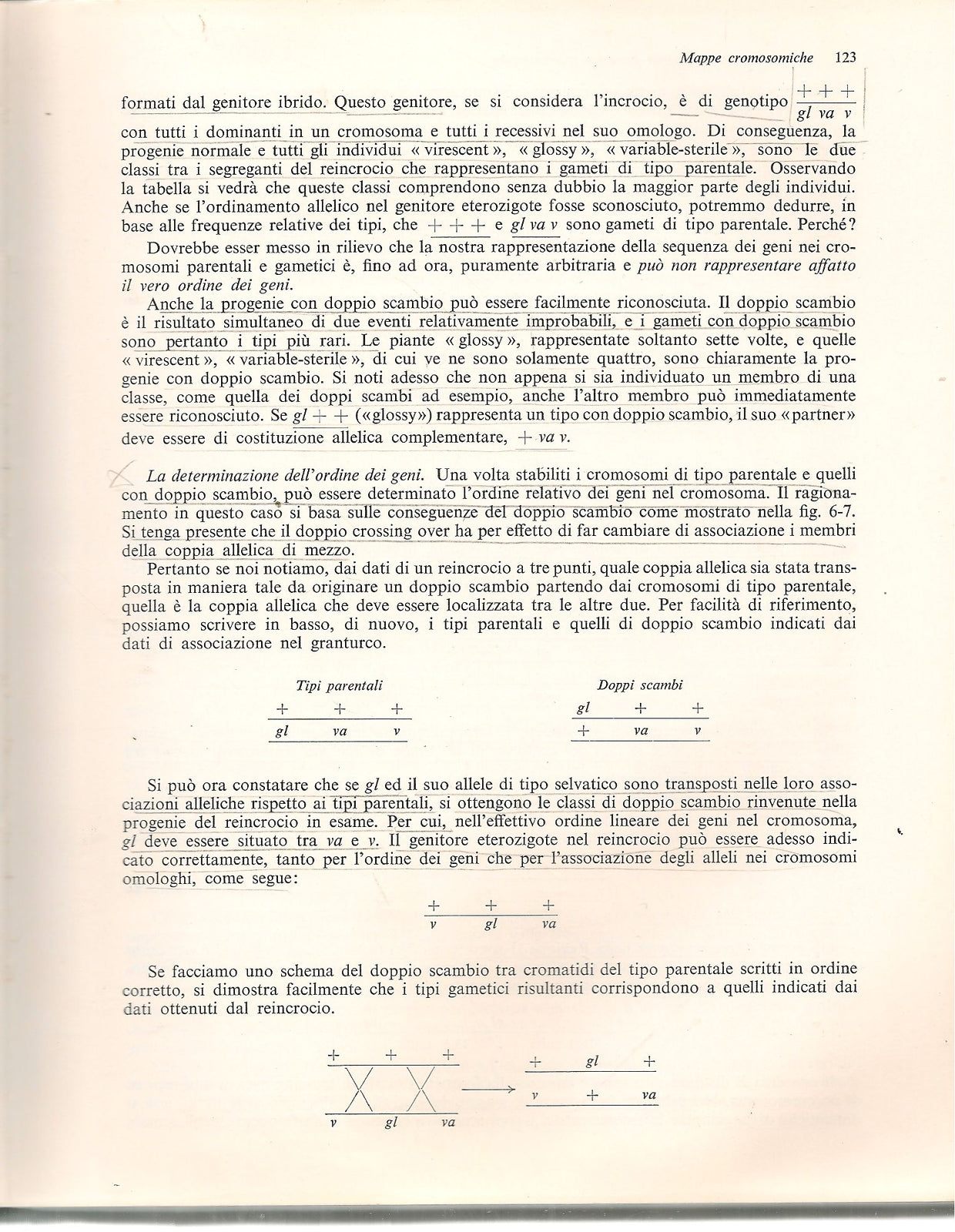 GENETICA GENERALE - SRB-OWEN-EDGAR