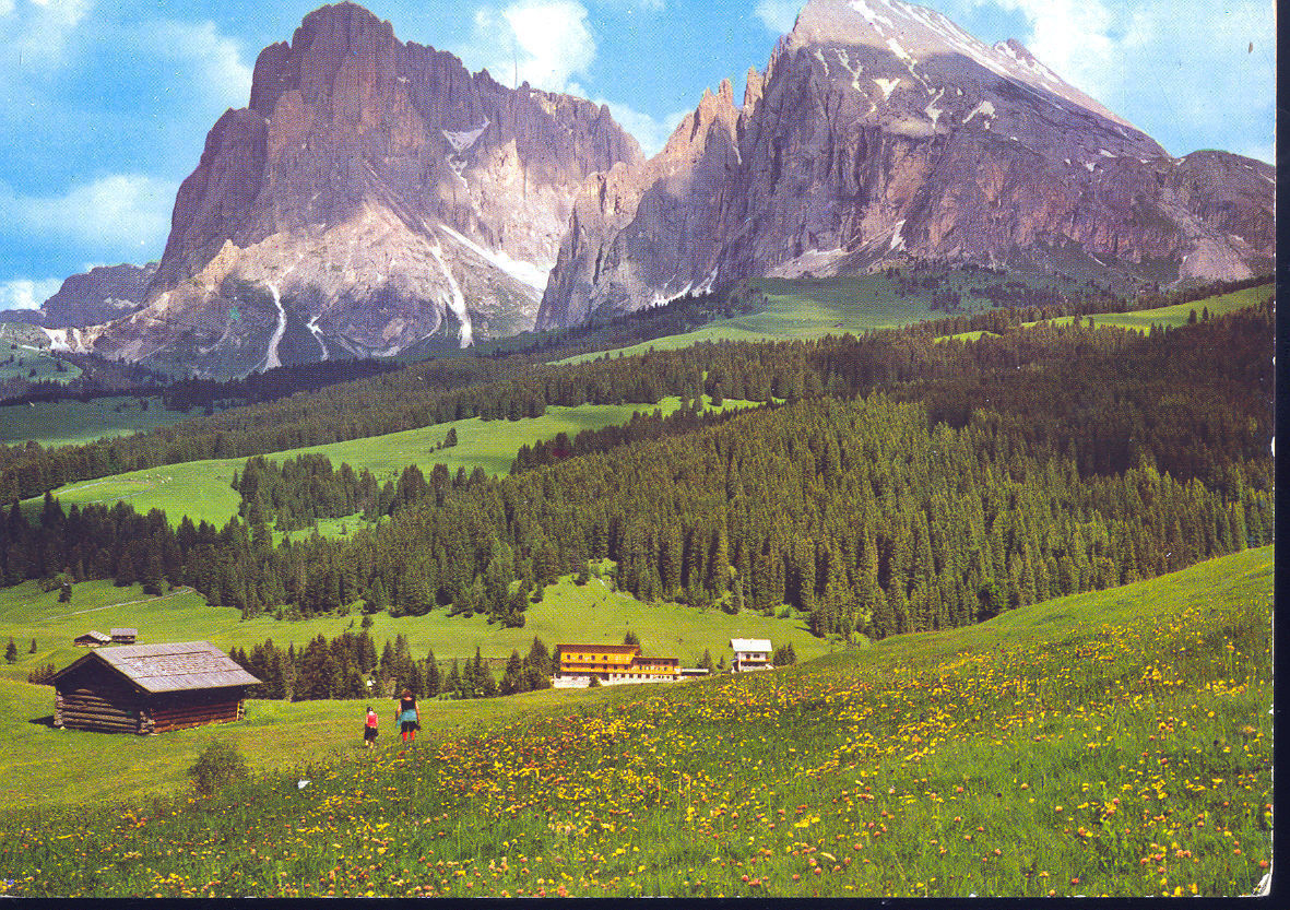 HOTEL FLORALPINA - DOLOMITI - ALPE DI SIUSI COL SASSOLUNGO -