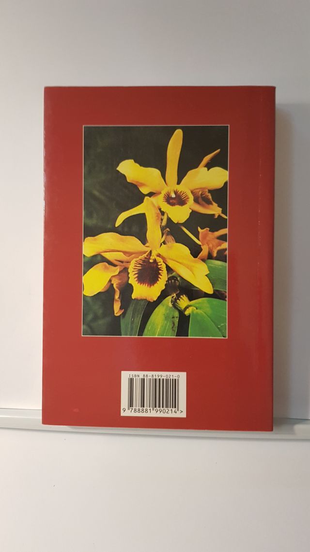 PADRE MICHELANGELO UN SANTO PER I NOSTRI TEMPI - MARIANGELO DA CERQUETO - ED. FI