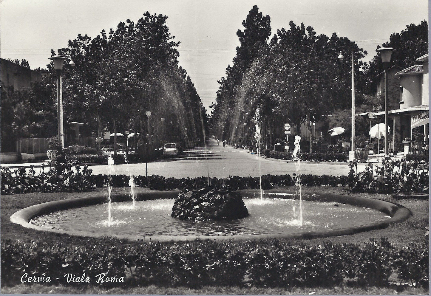 CERVIA - VIALE ROMA - V 1965 - FG
