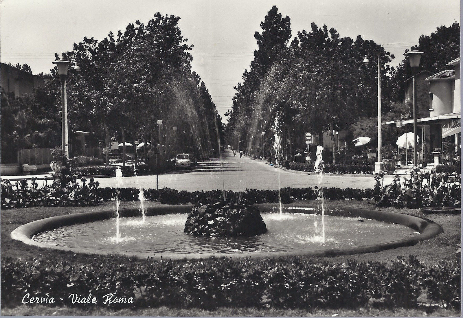 CERVIA - VIALE ROMA - V 1965 - FG