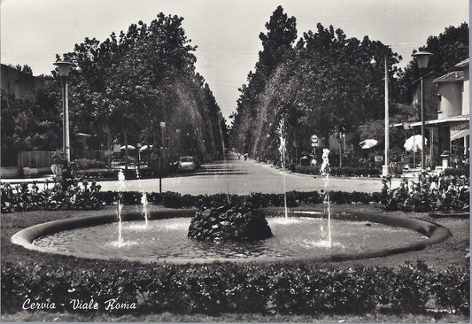 CERVIA - VIALE ROMA - V 1965 - FG