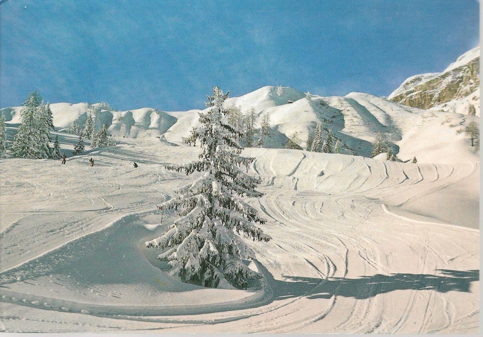 ARABBA - CAMPI DA SCI VERSO IL BOE' - PANORAMA INVERNAL