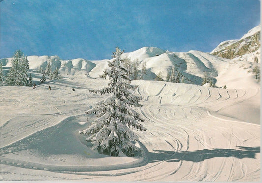 ARABBA - CAMPI DA SCI VERSO IL BOE' - PANORAMA INVERNAL