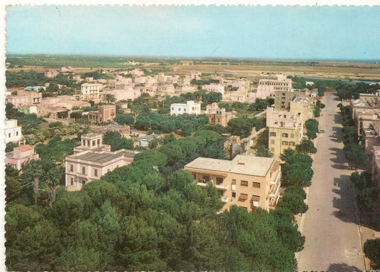 BRINDISI - PANORAMA CASALE  - V1962