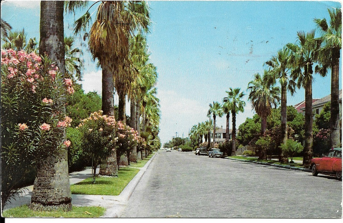 GALVESTON - TEXAS - A RESIDENTIAL STREET SCENE - V1959