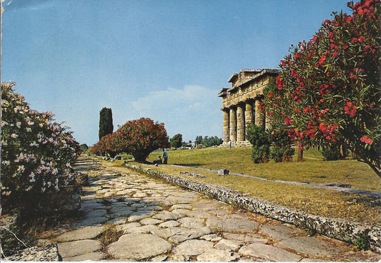 PAESTUM - STRADA ROMANA - TEMPIO DI NETTUNO - V1972