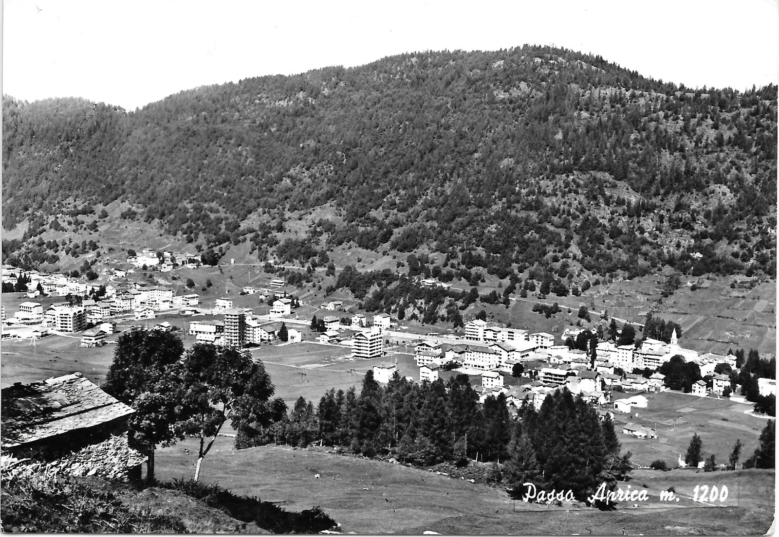 PASSO APRICA - PANORAMA - V1965