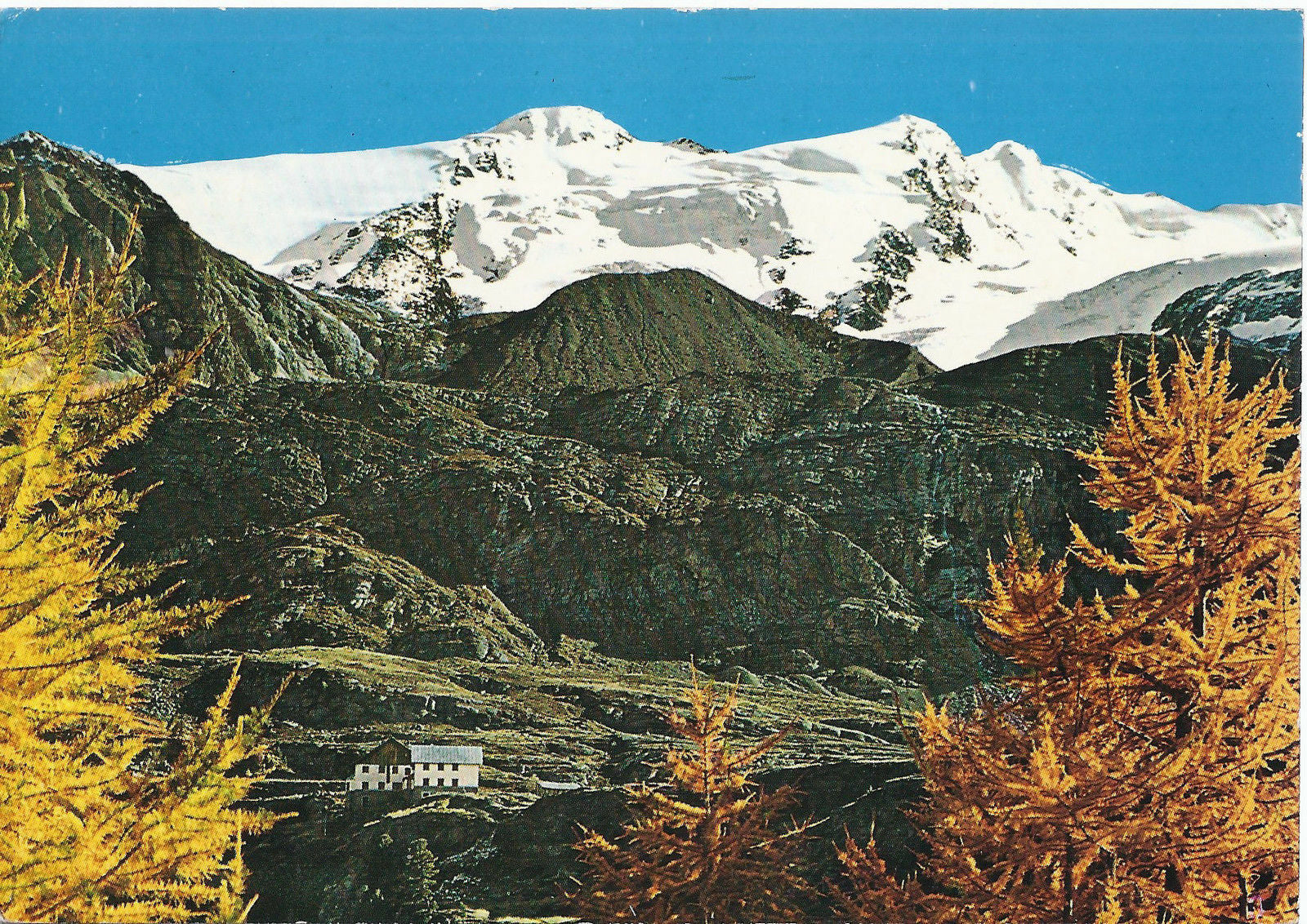 RIFUGIO NINO CORSI E CIMA VENEZIA - VAL MARTELLO-VENOSTA - V