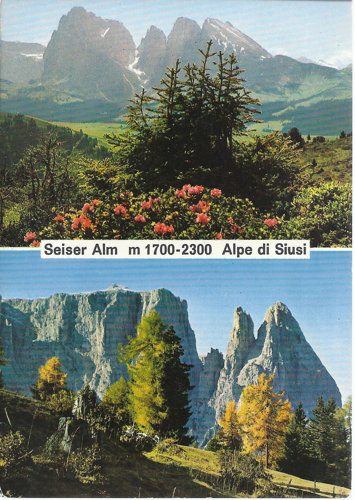 SEISER ALM - ALPE DI SIUSI - 2 VEDUTE - NV - FG