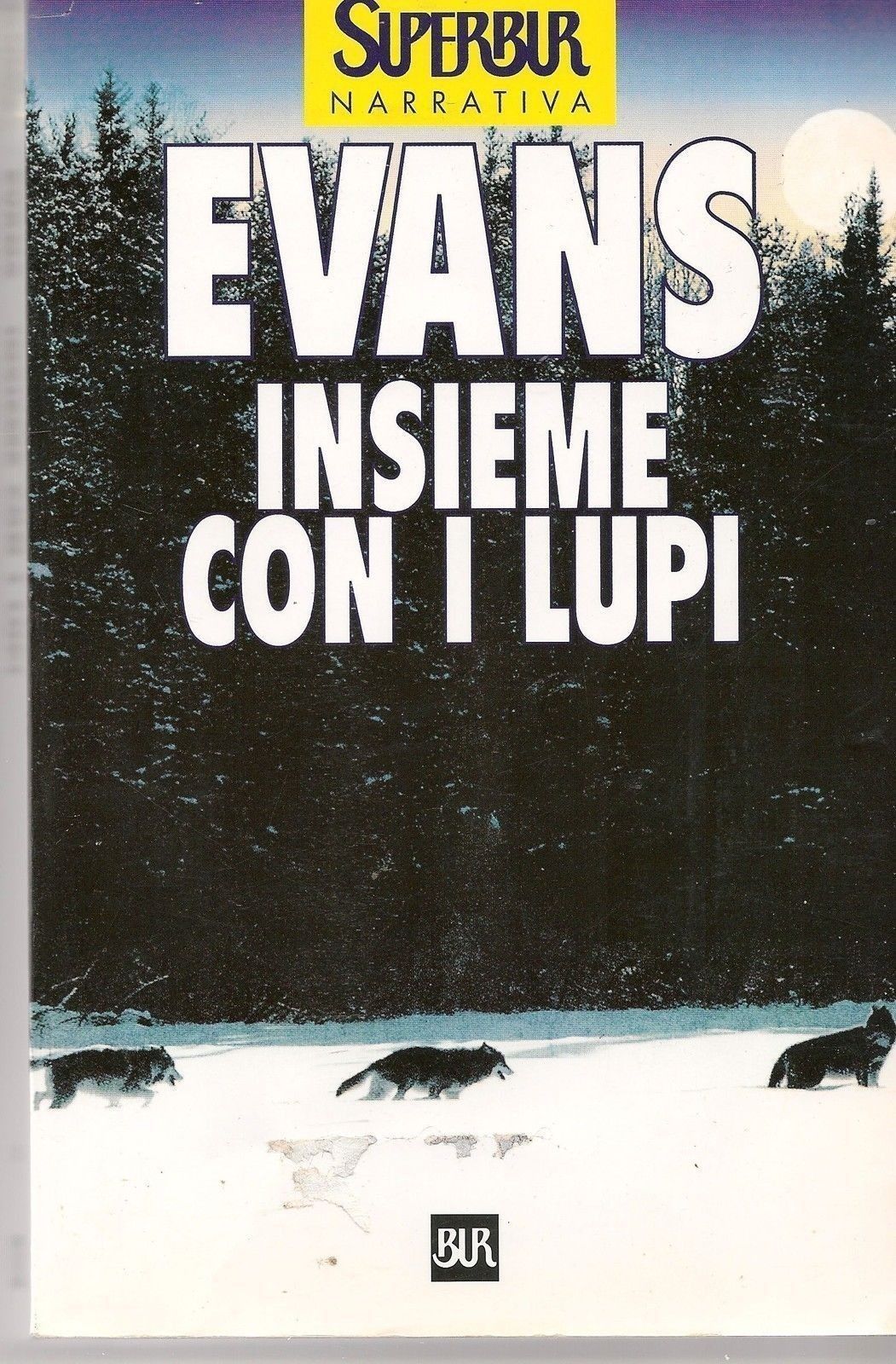 INSIEME CON I LUPI - NICHOLAS EVANS