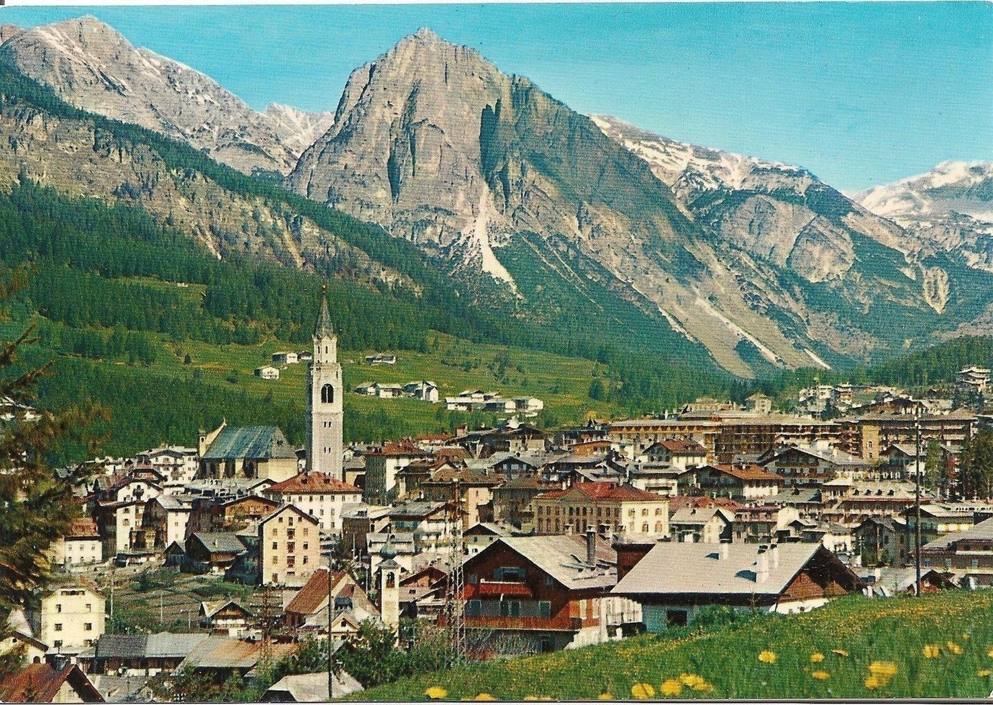 CORTINA - PANORAMA - NV