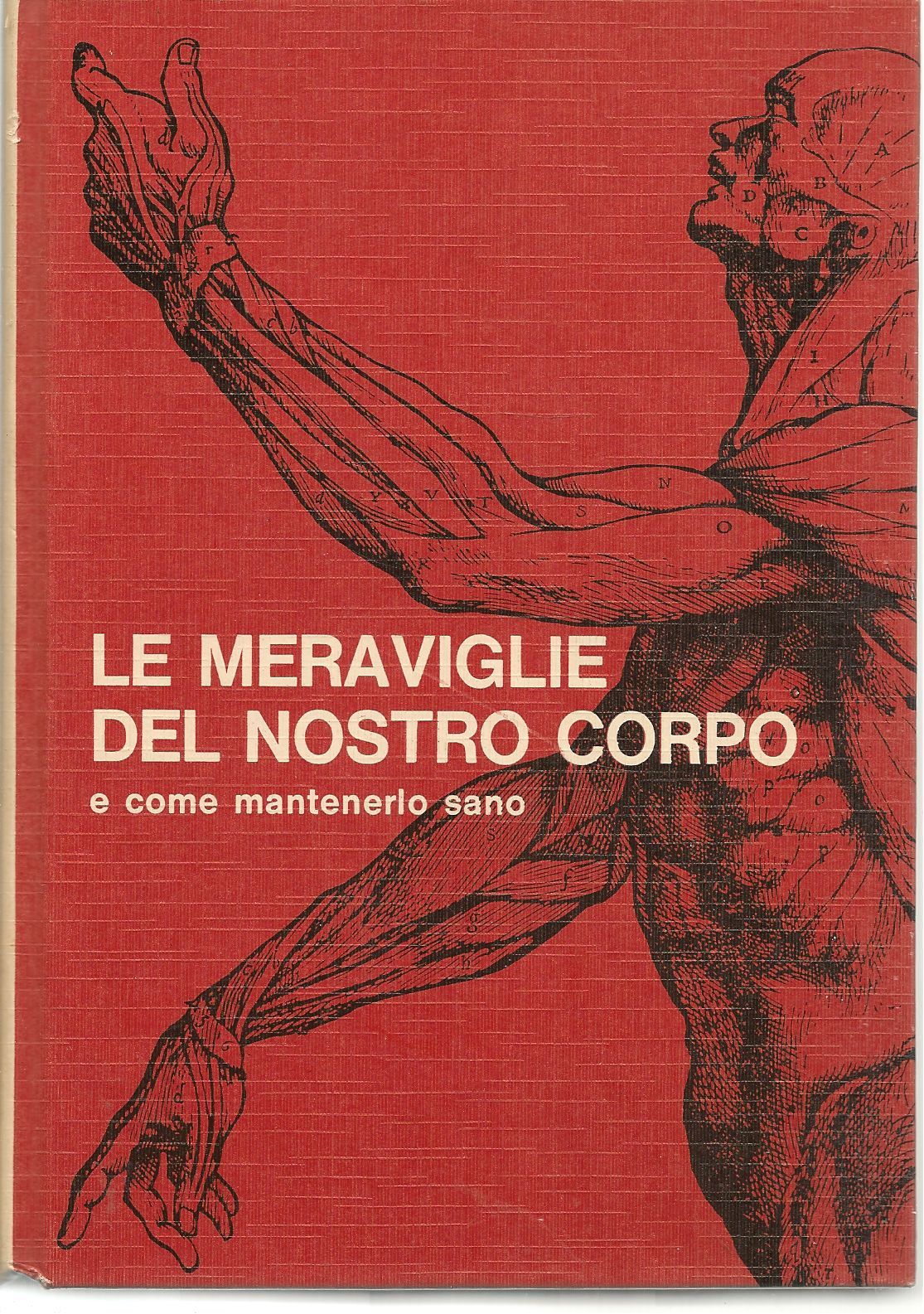LE MERAVIGLIE DEL NOSTRO CORPO
