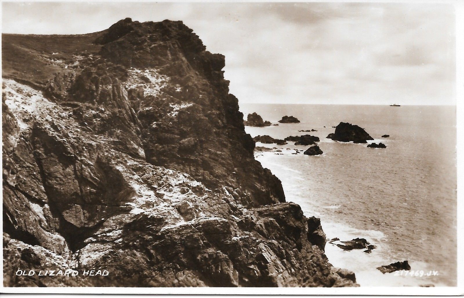 OLD LIZARD HEAD - PANORAMA - V/T