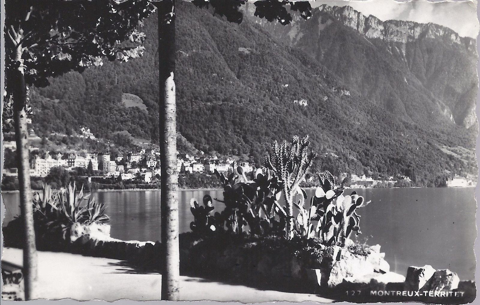 MONTREUX - TERRITET - NV