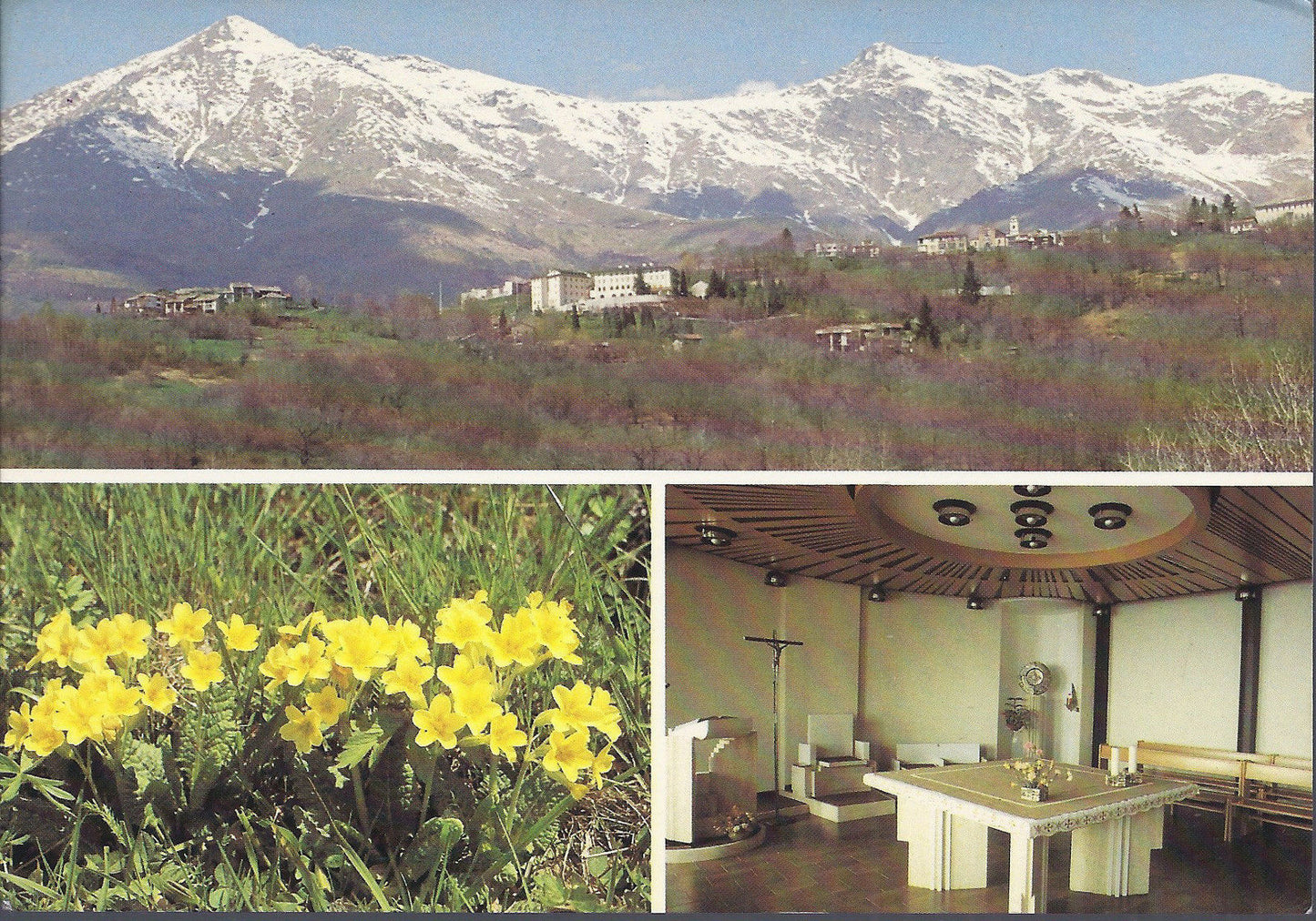 CASTELNUOVO NIGRA - CASA MADRE LUISA VASCHETTI - 2 VEDUTE - 