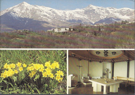 CASTELNUOVO NIGRA - CASA MADRE LUISA VASCHETTI - 2 VEDUTE - 