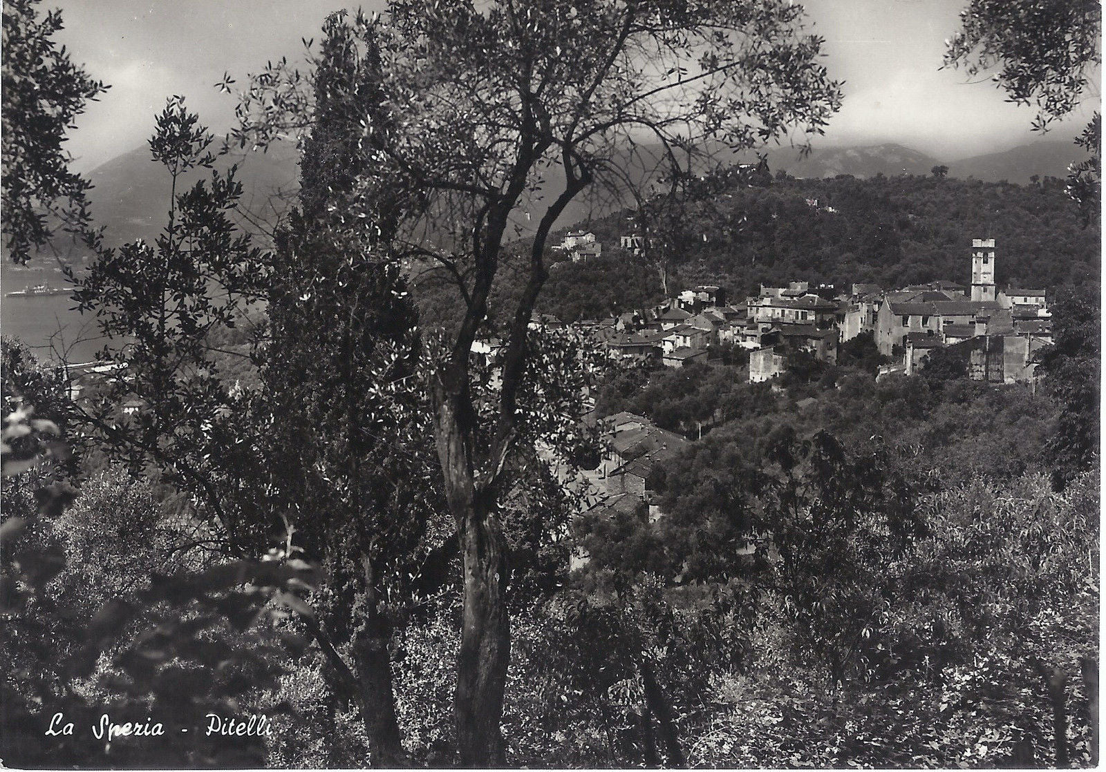 PITELLI di LA SPEZIA - NV - FG