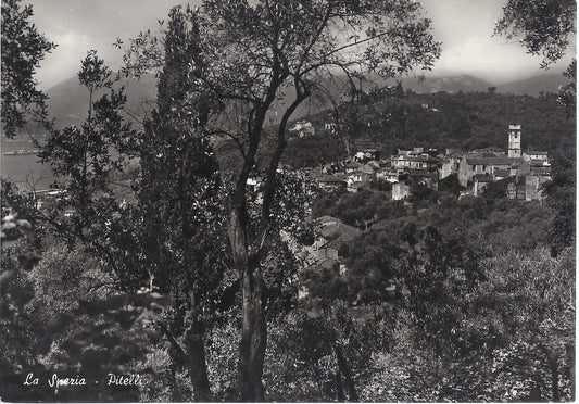 PITELLI di LA SPEZIA - NV - FG