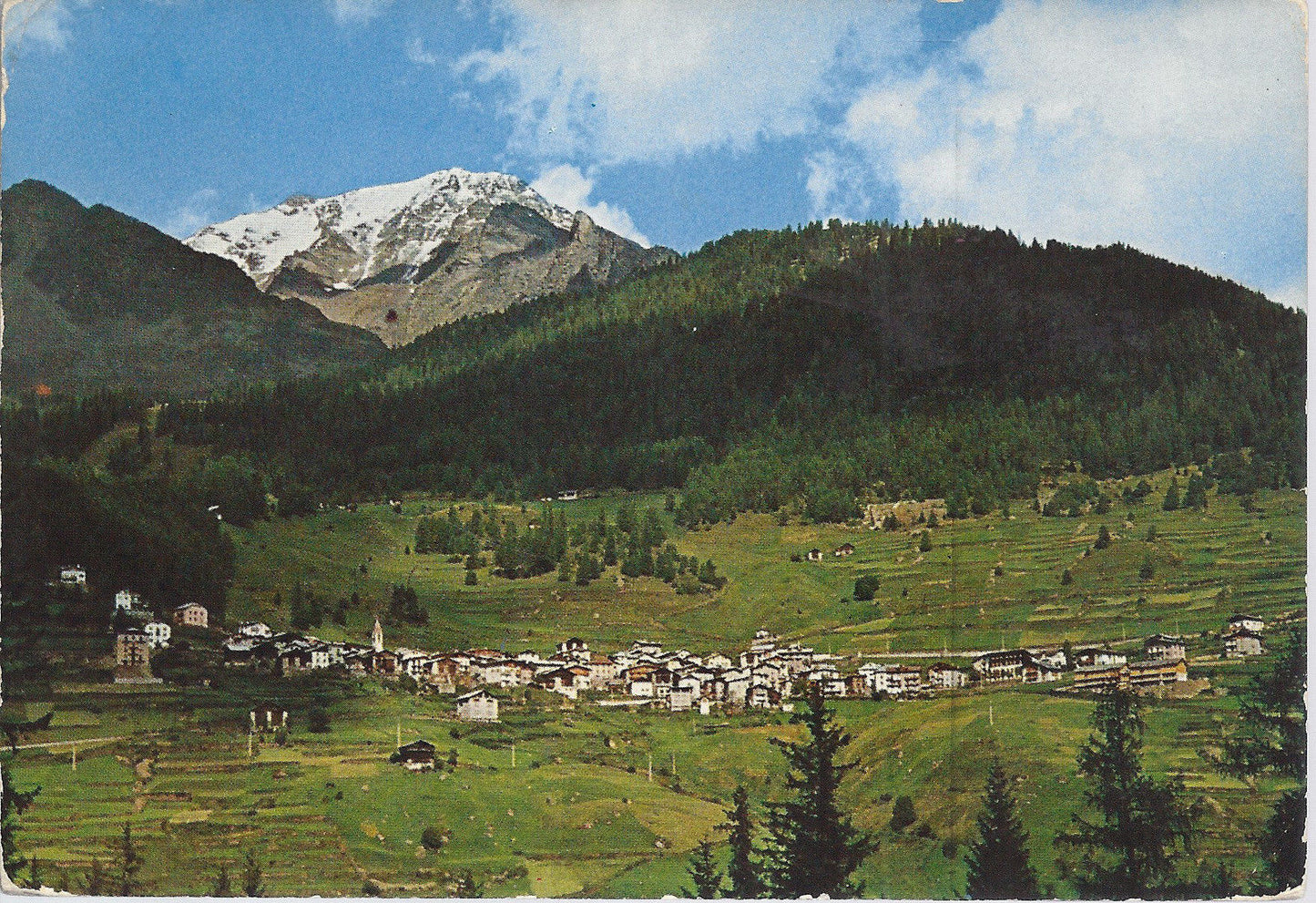 PEJO - PARCO NAZIONALE DELLO STELVIO - PANORAMA - V 1980 - F