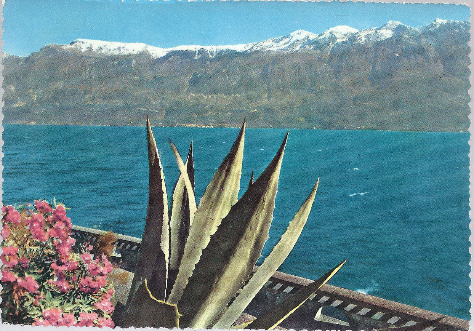 LAGO DI GARDA - GARDESANA OCCIDENTALE - NV - FG - Ediz. Ross