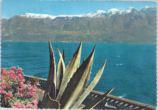 LAGO DI GARDA - GARDESANA OCCIDENTALE - NV - FG - Ediz. Ross