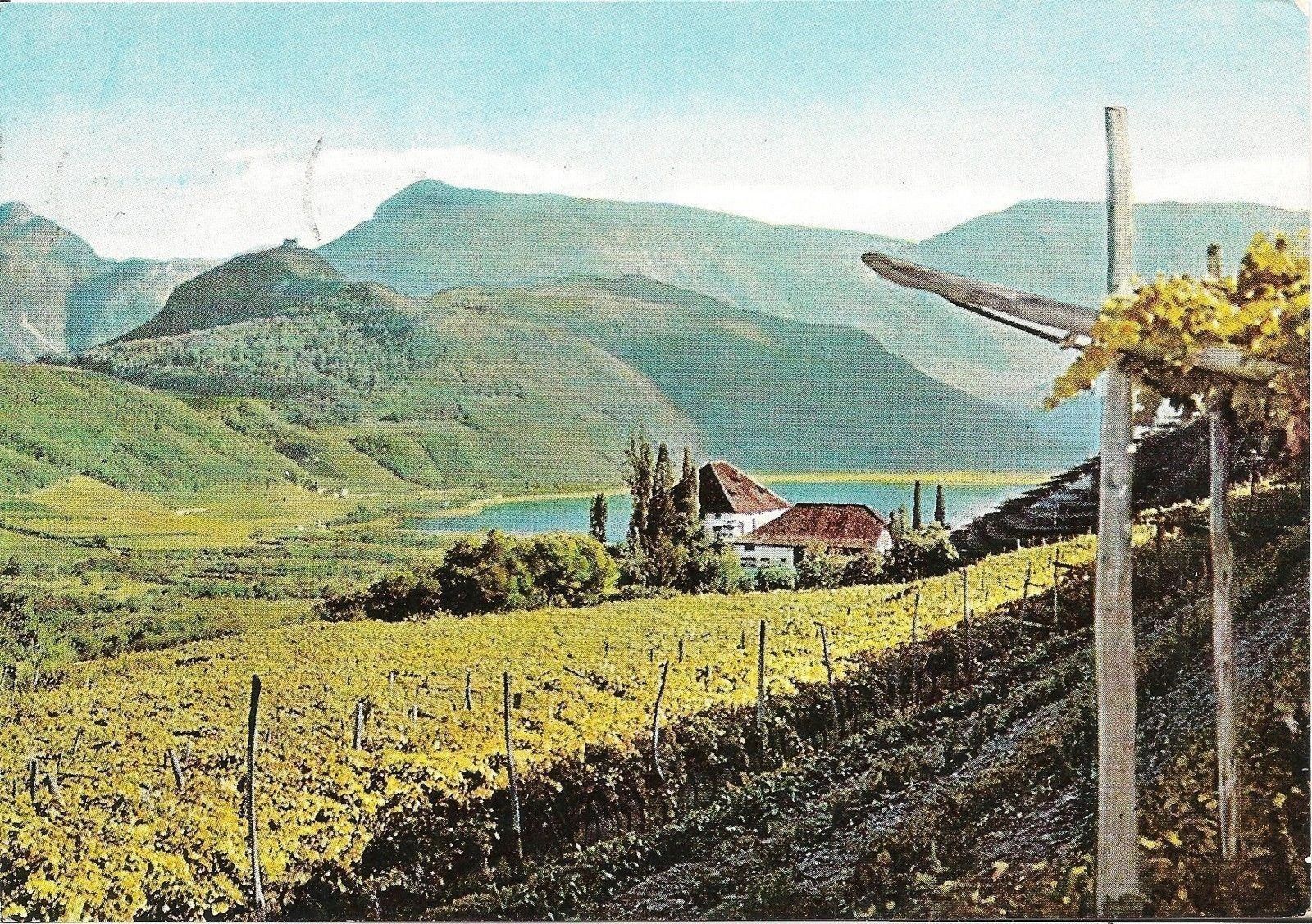 LAGO DI CALDARO - PANORAMA - ACQUARELLATA - V1962