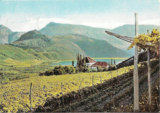 LAGO DI CALDARO - PANORAMA - ACQUARELLATA - V1962