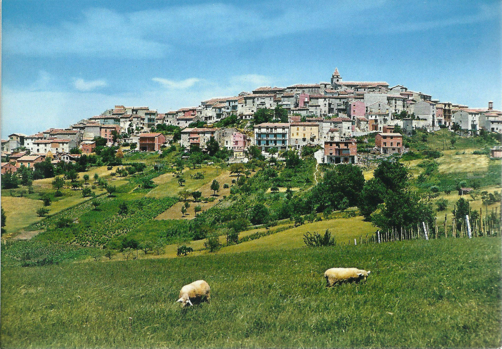 BUSSO - CAMPOBASSO - PANORAMA - NV