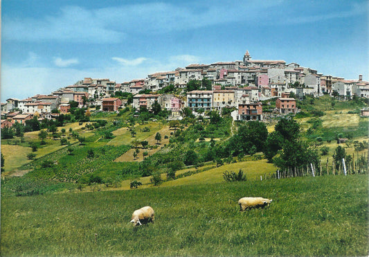 BUSSO - CAMPOBASSO - PANORAMA - NV
