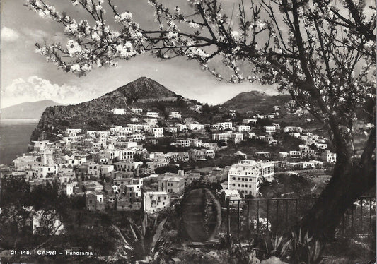 CAPRI - PANORAMA - V1968