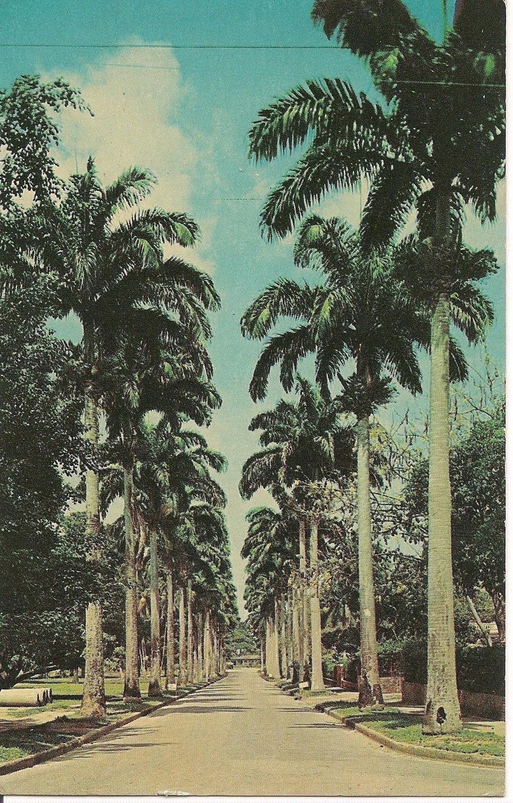 PORT OF SPAIN - TRINIDAD - V