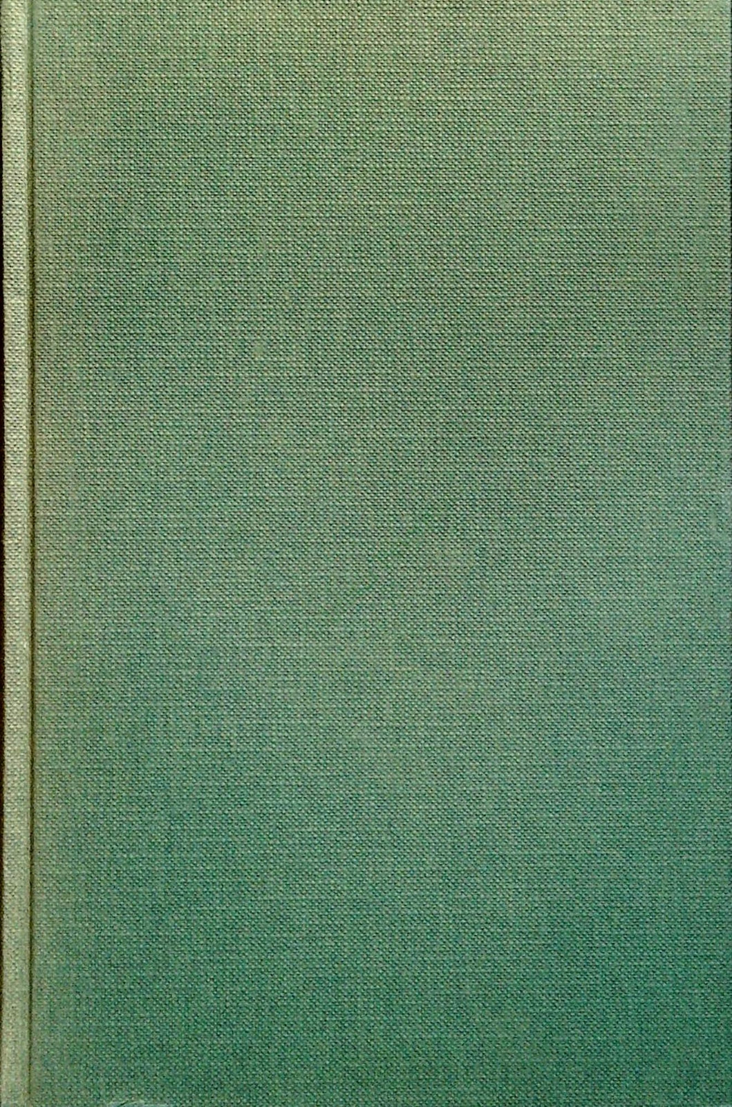 DIMMI DI ZI' - ANTONIO AMURRI - MONDADORI 1982 - OUTLET DEL LIBRO