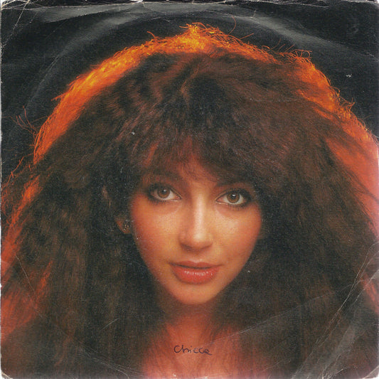 HAMMER HORROR - COFFEE HOMEGROUND # KATE BUSH