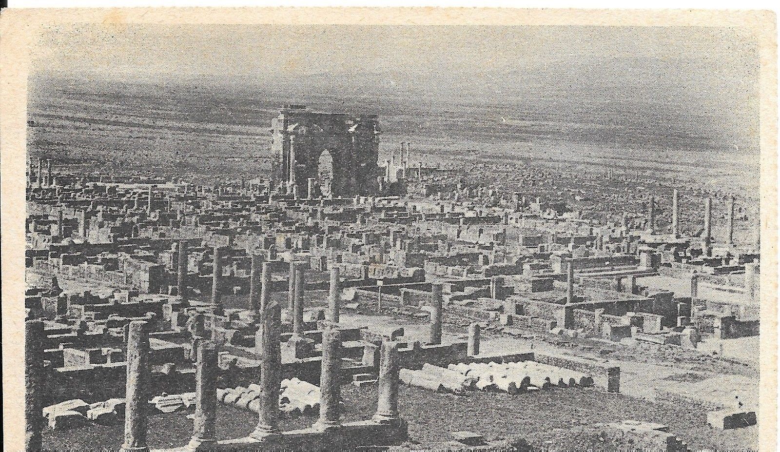 TIMGAD - ALGERIA - RUINES - NV