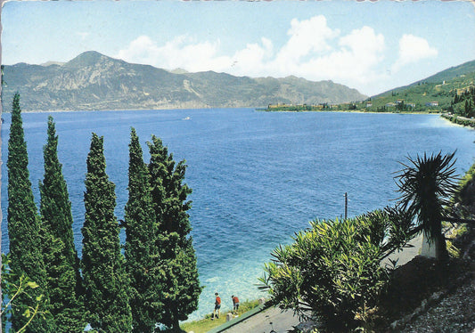 LAGO DI GARDA - PANORAMA VERSO TORRI DEL BENACO - V1975