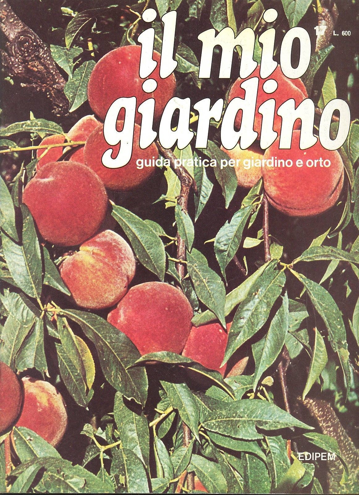 IL MIO GIARDINO N 17
