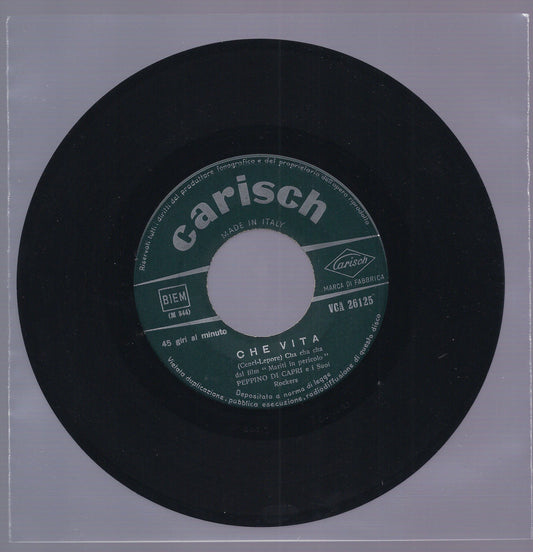 CHE VITA - TU SEI L'ORIZZONTE == PEPPINO DI CAPRI e i Suoi Rockers