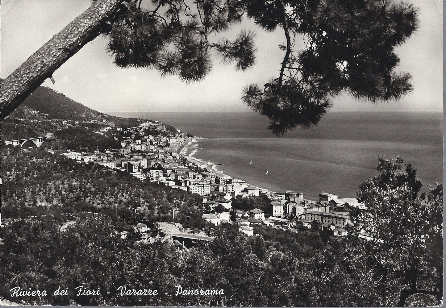 VARAZZE - RIVIERA DEI FIORI - PANORAMA - V1966