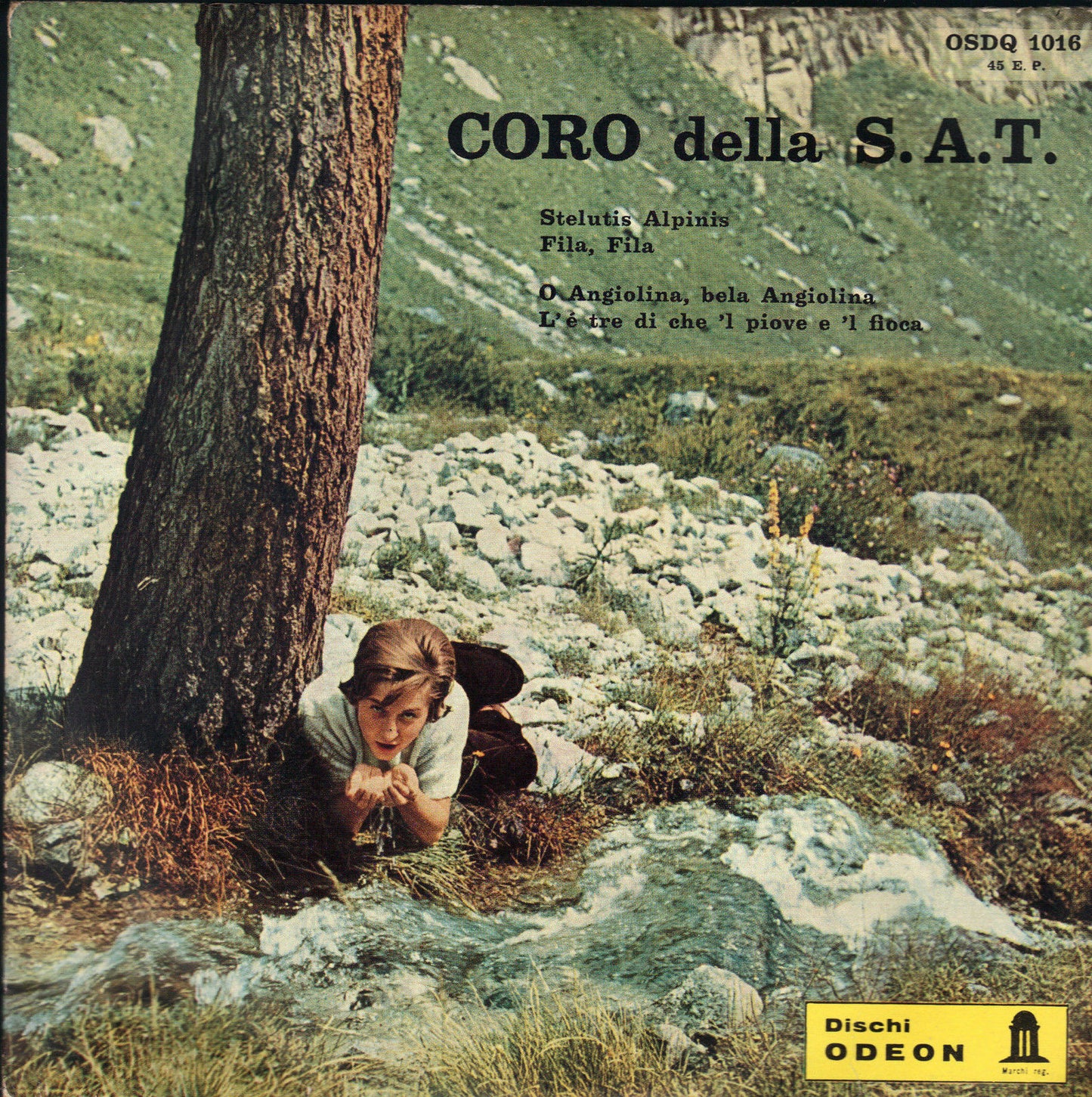 STELUTIS ALPINIS - FILA FILA - O ANGIOLINA, BELA ANGIOLINA - CORO DELLA S.A.T.