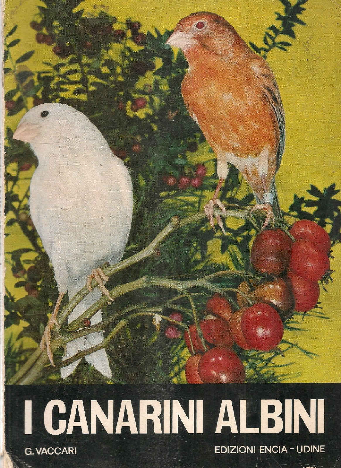 I CANARINI ALBINI - GIUSEPPE VACCARI
