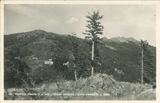 VETRIOLO - PANORAMA - V1949